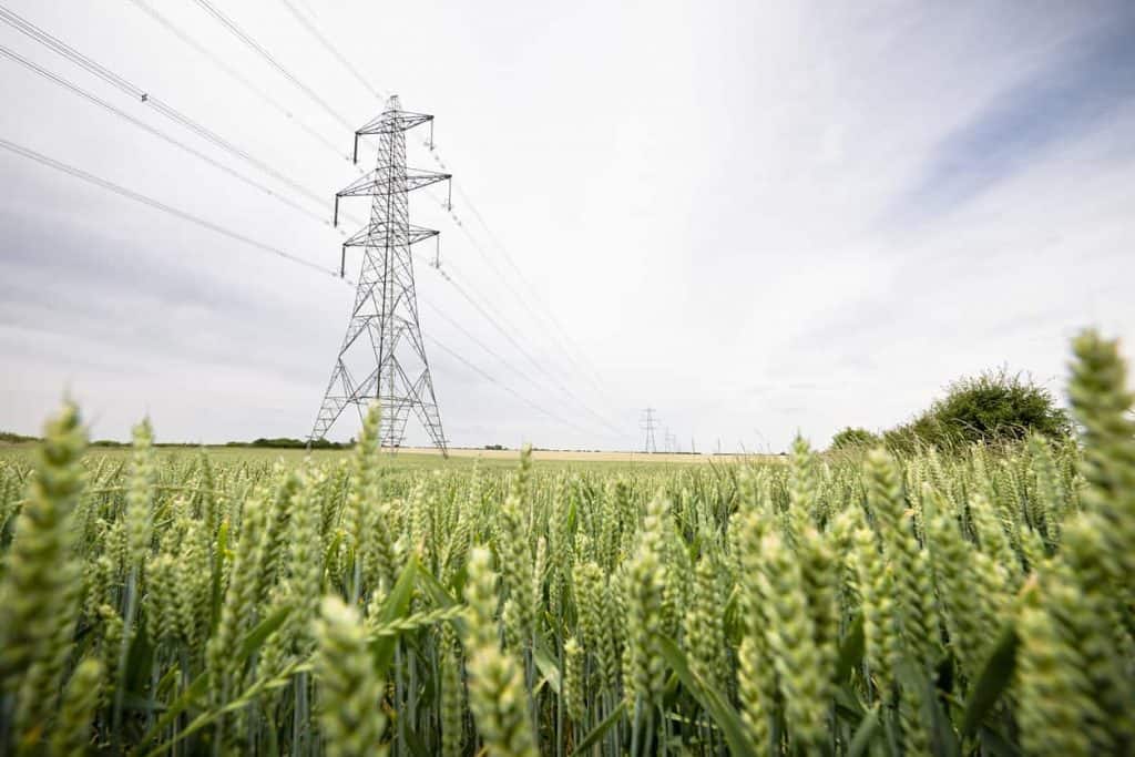 electricite agriculture lucia energie