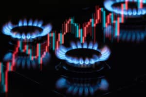 Semaine du 14 août : les prix du gaz sont toujours aussi stables